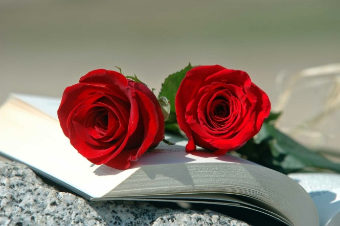 sant-jordi-llibre-i-roses1